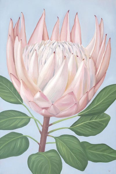 Hawaii: Beauty Within by Sarah Caudle