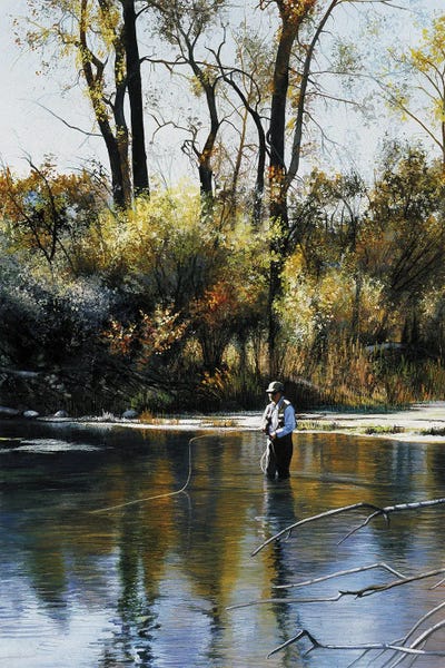 Fall Reflections by Shirley Cleary canvas print