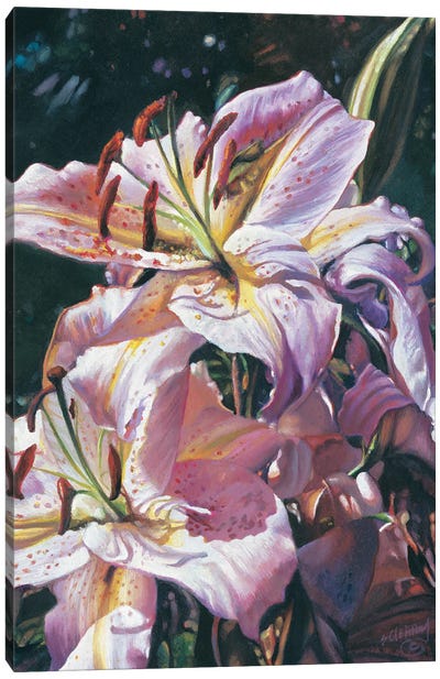 Flower Series Lily IV Canvas Art Print - Lily Art