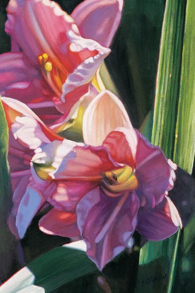 Flower Series V by Shirley Cleary canvas print