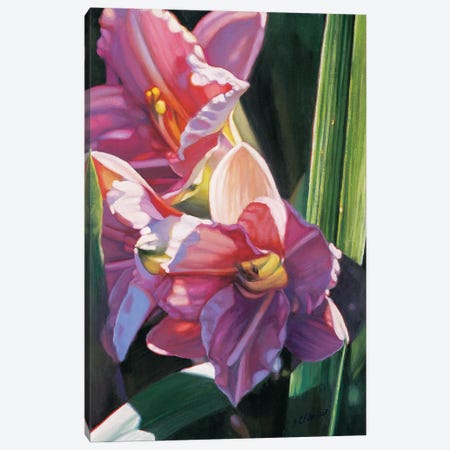 Flower Series V Canvas Print #SCY39} by Shirley Cleary Art Print