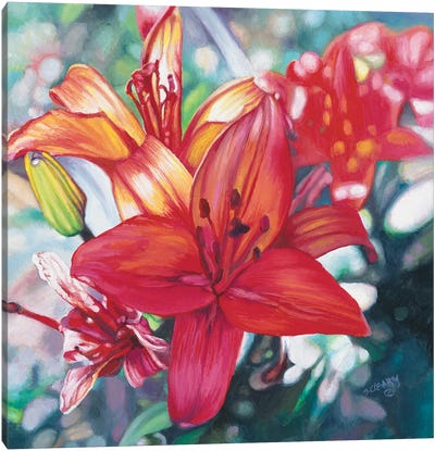 Flower Series VII Canvas Art Print - Lily Art