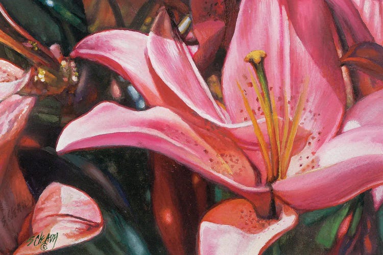 Flowers Series Lily II