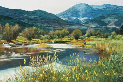 Jackson Hole Spring Creek by Shirley Cleary art print