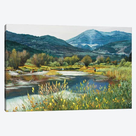 Jackson Hole Spring Creek Canvas Print #SCY51} by Shirley Cleary Art Print