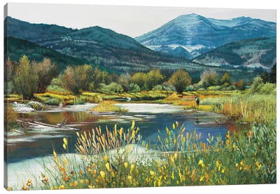 Jackson Hole Spring Creek Canvas Art Print - Shirley Cleary