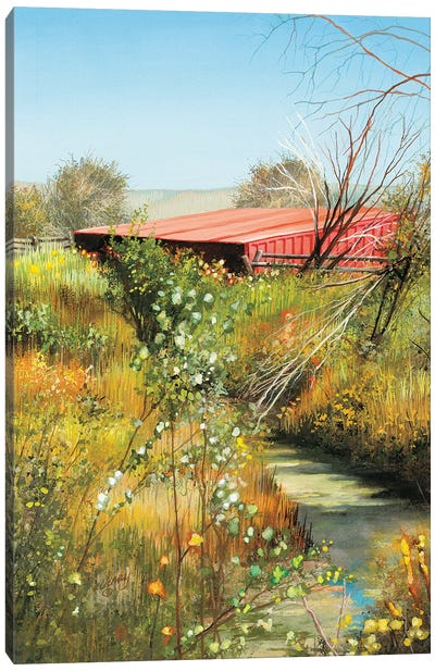 Narrow Creek Red Barn Canvas Art Print - Shirley Cleary