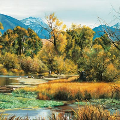 Playing A Fish by Shirley Cleary canvas print