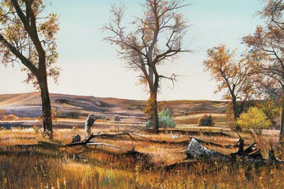 Autumn Splendor Pheasant Hunting by Shirley Cleary framed canvas print