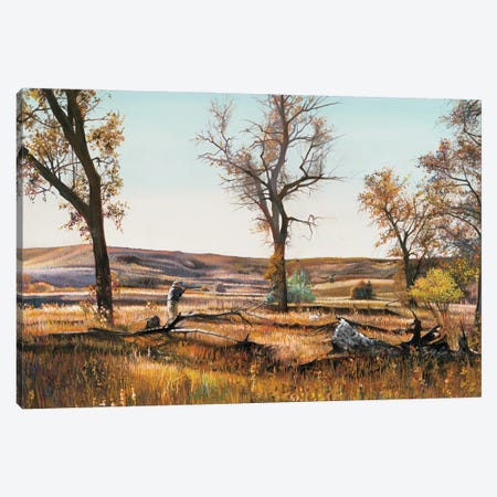 Autumn Splendor Pheasant Hunting Canvas Print #SCY6} by Shirley Cleary Canvas Art