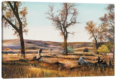 Autumn Splendor Pheasant Hunting Canvas Art Print - Shirley Cleary