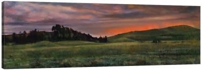 Sunset In The Park Canvas Art Print - Lakehouse Décor