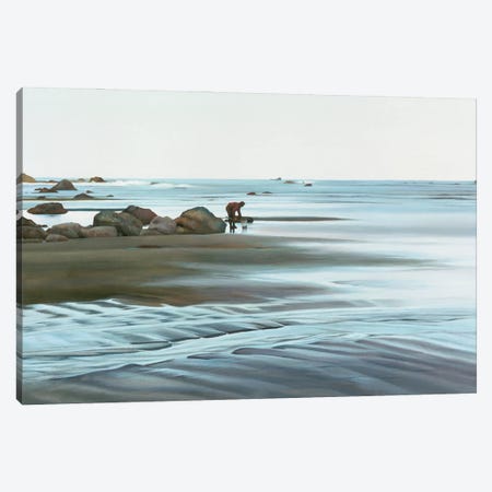 Tide Pools At Dawn Landscape Canvas Print #SCY72} by Shirley Cleary Canvas Print