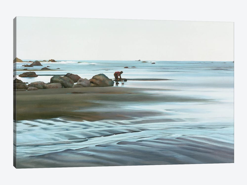 Tide Pools At Dawn Landscape by Shirley Cleary 1-piece Canvas Artwork