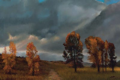 Big Sky Coming Storm by Shirley Cleary canvas print