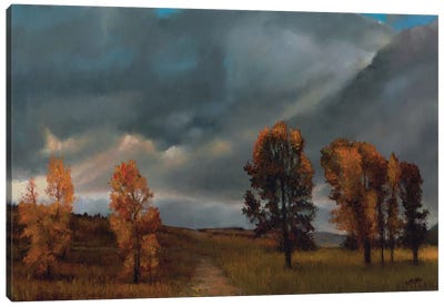 Big Sky Coming Storm Canvas Art Print - Shirley Cleary