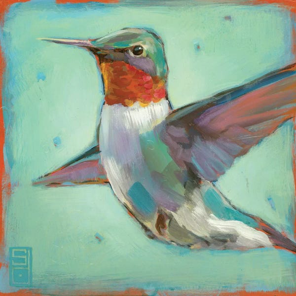 Hummingbirds: Quest for Flowers I by Stacy D'Aguiar