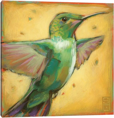 Quest for Flowers IV Canvas Art Print - Hummingbird Art