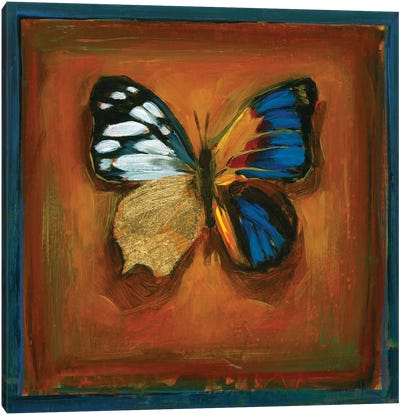 Hybrid LXIV Canvas Art Print - Butterfly Art