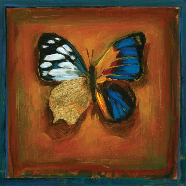 Insects: Hybrid LXIV by Stacy D'Aguiar