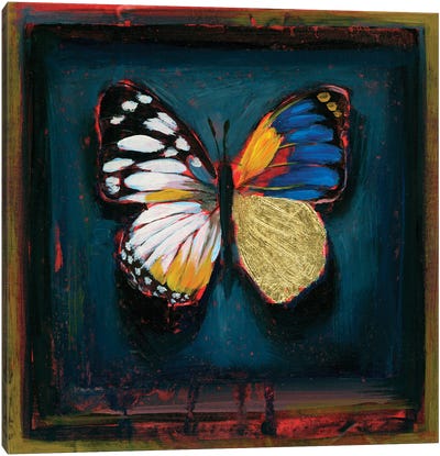 Hybrid LXVI Canvas Art Print - Butterfly Art
