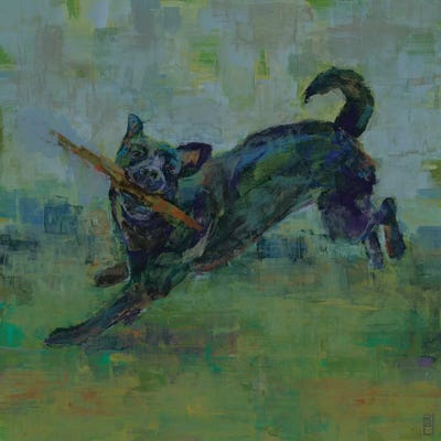 Play Time III by Stacy D'Aguiar acrylic art print