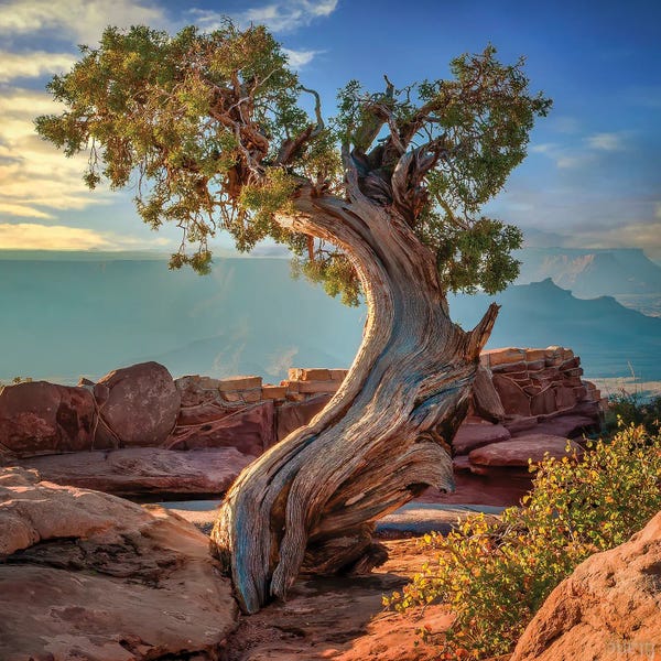 Utah: Dead Horse Point by Beth Sheridan