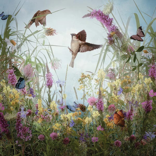 Butterflies and Flowers: Fantasy Meadow by Beth Sheridan