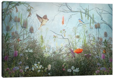 Fantasy Meadow II Canvas Art Print - Beth Sheridan