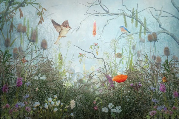 Fantasy Meadow II