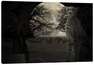 Savanna Nights Canvas Art Print - Leopard Art