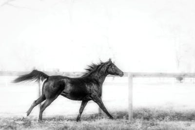 Vixen XIII by Beth Sheridan art print