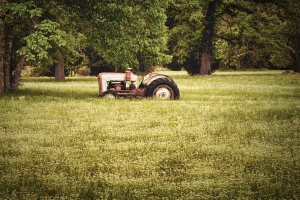 Beth Sheridan: Antique Tractor by Beth Sheridan