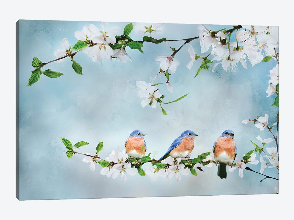 Blue Birds in Cherry Blossoms I by Beth Sheridan 1-piece Canvas Art Print