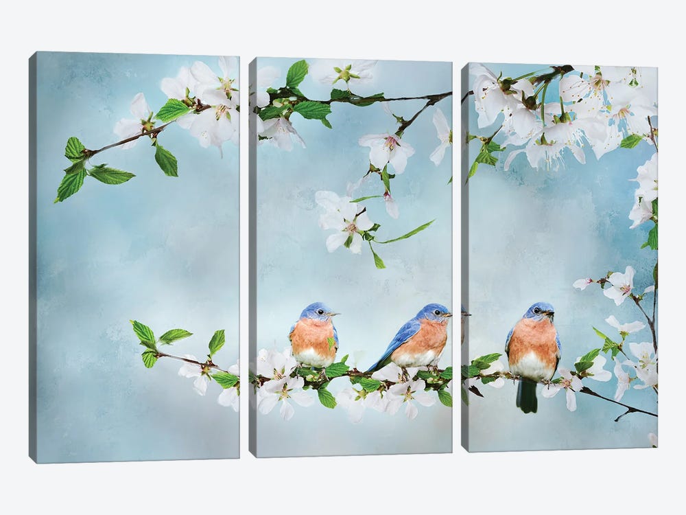 Blue Birds in Cherry Blossoms I by Beth Sheridan 3-piece Art Print