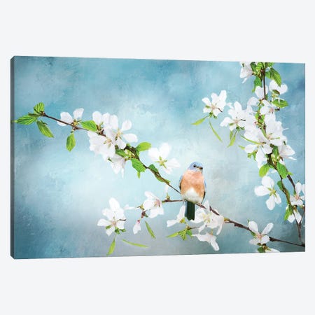 Blue Birds in Cherry Blossoms II Canvas Print #SDB8} by Beth Sheridan Canvas Artwork