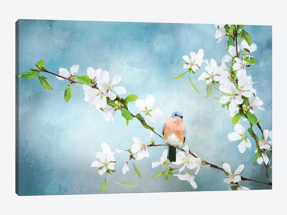 Blue Birds in Cherry Blossoms II by Beth Sheridan 1-piece Canvas Art