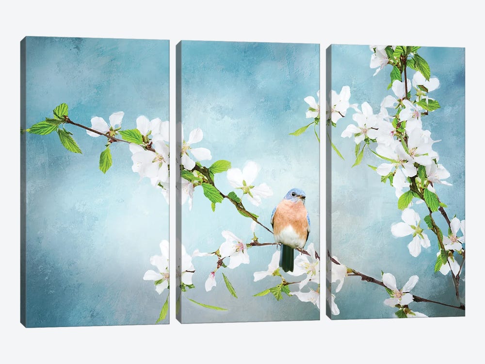Blue Birds in Cherry Blossoms II by Beth Sheridan 3-piece Canvas Art