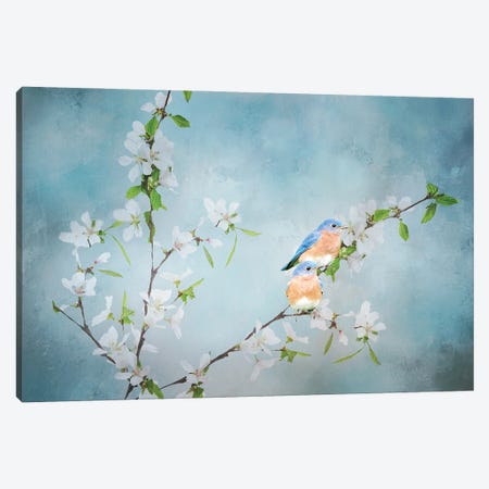 Blue Birds in Cherry Blossoms III Canvas Print #SDB9} by Beth Sheridan Canvas Artwork