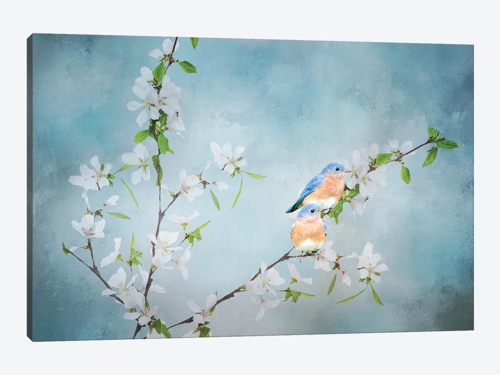 Blue Birds in Cherry Blossoms III by Beth Sheridan 1-piece Canvas Print