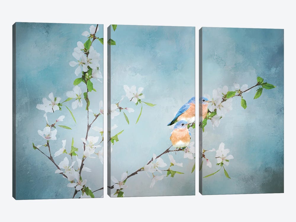 Blue Birds in Cherry Blossoms III by Beth Sheridan 3-piece Canvas Print