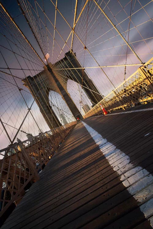 Brooklyn Bridge Web