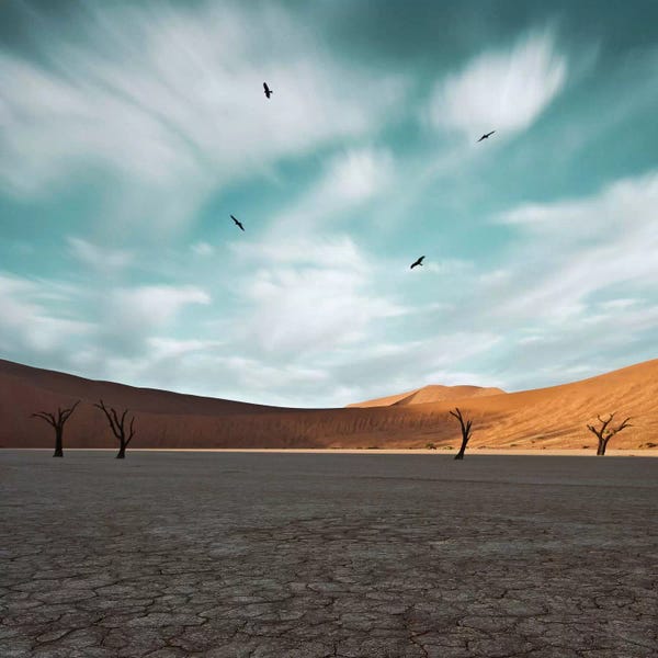 Photography: When The Death Coming by Sebastien Del Grosso