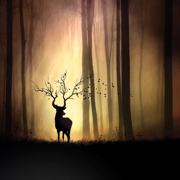 Legendes d'Automne by Sebastien Del Grosso wall art