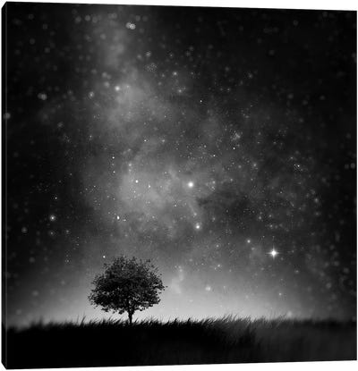 Not So Alone Canvas Art Print - Night Sky Art