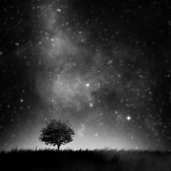 Night Sky: Not So Alone by Sebastien Del Grosso