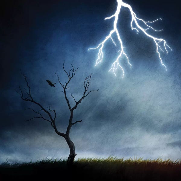 Sebastien Del Grosso: Ciel et Terre by Sebastien Del Grosso