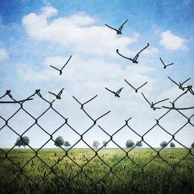 L'Enfermement Est Qu'Illusion by Sebastien Del Grosso art print