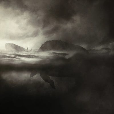 Guardian Of The Island by Sebastien Del Grosso art print