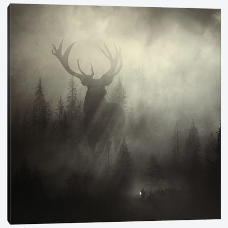 Guardian Of The Forest II Canvas Print #SDG164} by Sebastien Del Grosso Canvas Print